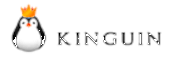  Kinguin ist eine globale Einkaufsplatform für digitale Spiele 